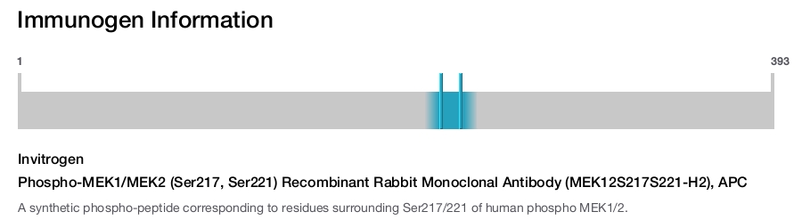 Phospho-MEK1/MEK2 (Ser217, Ser221) Recombinant Rabbit Monoclonal Antibody (MEK12S217S221-H2), APC