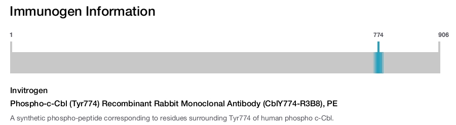 Phospho-c-Cbl (Tyr774) Recombinant Rabbit Monoclonal Antibody (CblY774-R3B8), PE