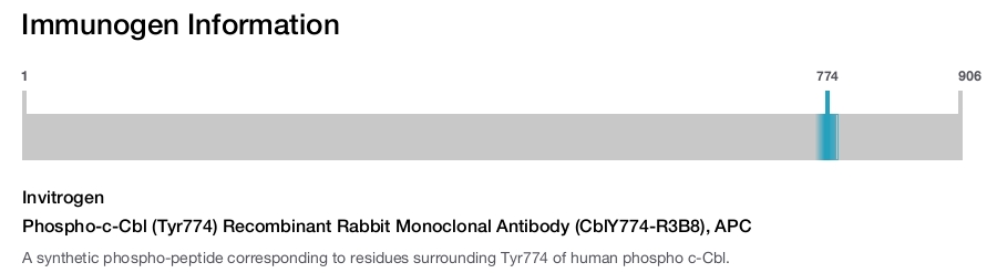 Phospho-c-Cbl (Tyr774) Recombinant Rabbit Monoclonal Antibody (CblY774-R3B8), APC