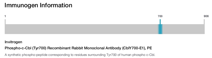 Phospho-c-Cbl (Tyr700) Recombinant Rabbit Monoclonal Antibody (CblY700-E1), PE