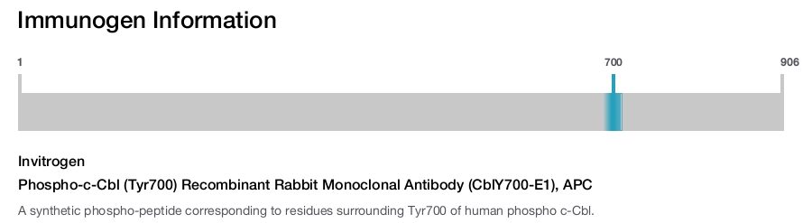 Phospho-c-Cbl (Tyr700) Recombinant Rabbit Monoclonal Antibody (CblY700-E1), APC