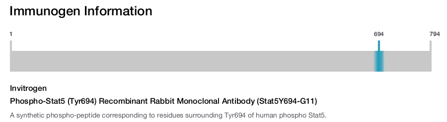 Phospho-Stat5 (Tyr694) Recombinant Rabbit Monoclonal Antibody (Stat5Y694-G11)