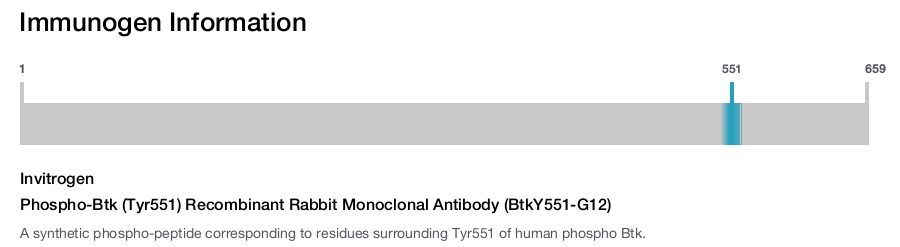 Phospho-Btk (Tyr551) Recombinant Rabbit Monoclonal Antibody (BtkY551-G12)