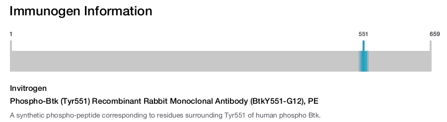 Phospho-Btk (Tyr551) Recombinant Rabbit Monoclonal Antibody (BtkY551-G12), PE