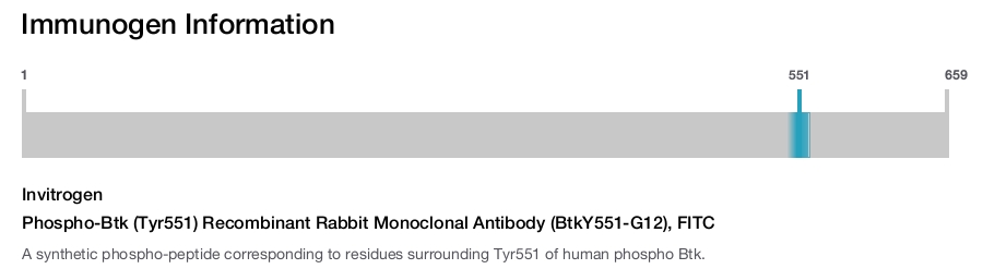 Phospho-Btk (Tyr551) Recombinant Rabbit Monoclonal Antibody (BtkY551-G12), FITC