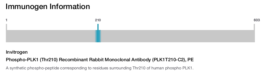 Phospho-PLK1 (Thr210) Recombinant Rabbit Monoclonal Antibody (PLK1T210-C2), PE