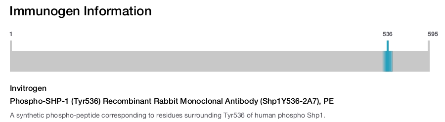 Phospho-SHP-1 (Tyr536) Recombinant Rabbit Monoclonal Antibody (Shp1Y536-2A7), PE