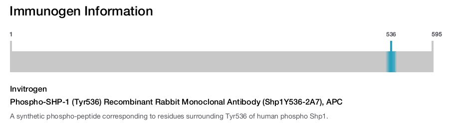 Phospho-SHP-1 (Tyr536) Recombinant Rabbit Monoclonal Antibody (Shp1Y536-2A7), APC