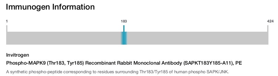Phospho-MAPK9 (Thr183, Tyr185) Recombinant Rabbit Monoclonal Antibody (SAPKT183Y185-A11), PE