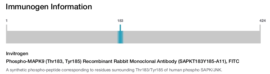 Phospho-MAPK9 (Thr183, Tyr185) Recombinant Rabbit Monoclonal Antibody (SAPKT183Y185-A11), FITC