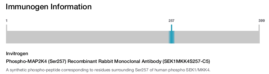 Phospho-MAP2K4 (Ser257) Recombinant Rabbit Monoclonal Antibody (SEK1MKK4S257-C5)