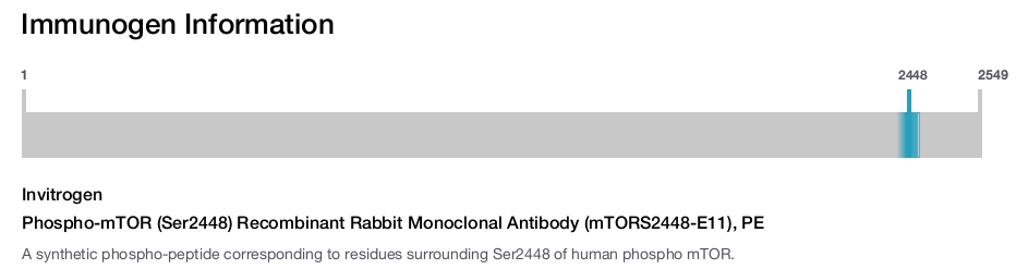 Phospho-mTOR (Ser2448) Recombinant Rabbit Monoclonal Antibody (mTORS2448-E11), PE