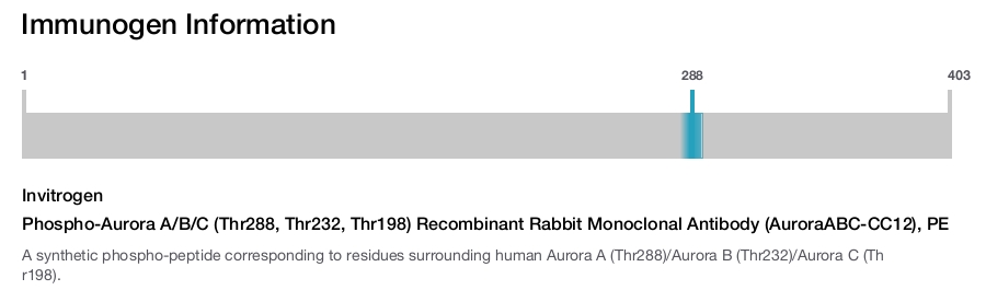 Phospho-Aurora A/B/C (Thr288, Thr232, Thr198) Recombinant Rabbit Monoclonal Antibody (AuroraABC-CC12), PE