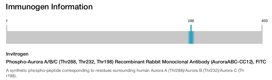 Phospho-Aurora A/B/C (Thr288, Thr232, Thr198) Recombinant Rabbit Monoclonal Antibody (AuroraABC-CC12), FITC