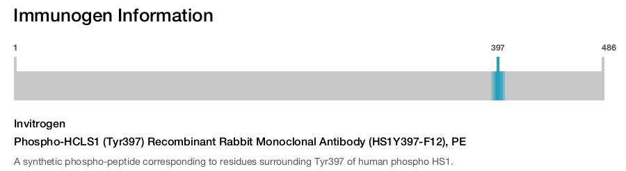 Phospho-HCLS1 (Tyr397) Recombinant Rabbit Monoclonal Antibody (HS1Y397-F12), PE