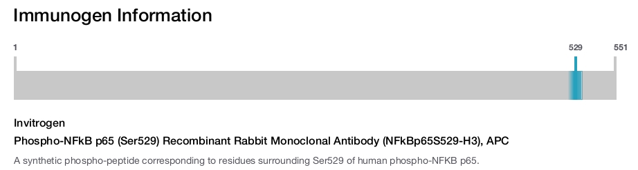 Phospho-NFkB p65 (Ser529) Recombinant Rabbit Monoclonal Antibody (NFkBp65S529-H3), APC