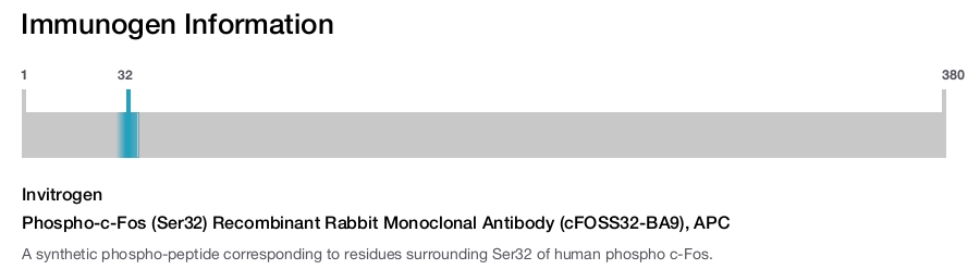 Phospho-c-Fos (Ser32) Recombinant Rabbit Monoclonal Antibody (cFOSS32-BA9), APC
