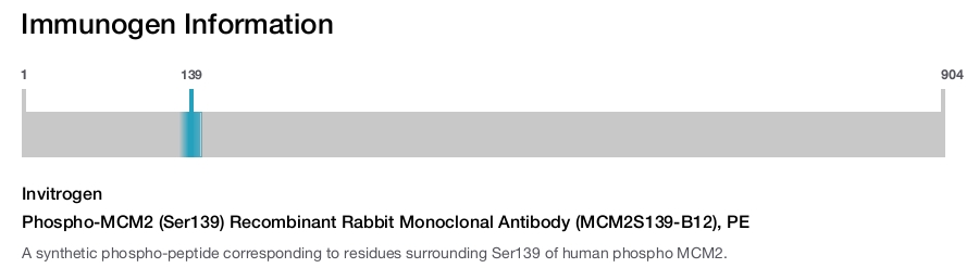 Phospho-MCM2 (Ser139) Recombinant Rabbit Monoclonal Antibody (MCM2S139-B12), PE