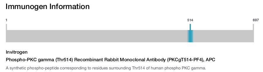 Phospho-PKC gamma (Thr514) Recombinant Rabbit Monoclonal Antibody (PKCgT514-PF4), APC