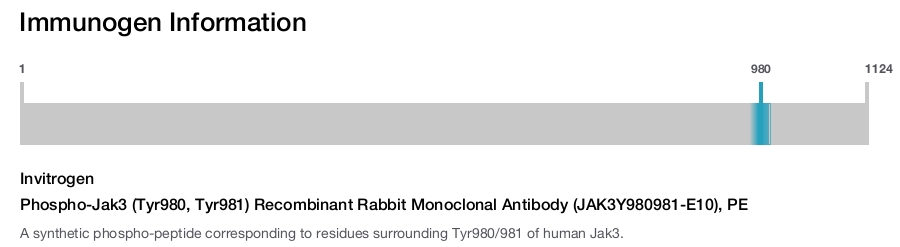 Phospho-Jak3 (Tyr980, Tyr981) Recombinant Rabbit Monoclonal Antibody (JAK3Y980981-E10), PE