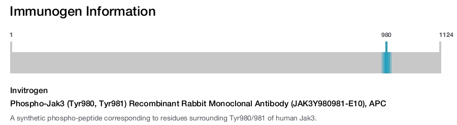 Phospho-Jak3 (Tyr980, Tyr981) Recombinant Rabbit Monoclonal Antibody (JAK3Y980981-E10), APC