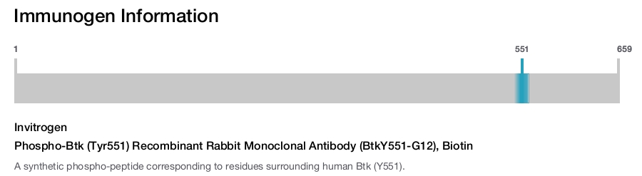 Phospho-Btk (Tyr551) Recombinant Rabbit Monoclonal Antibody (BtkY551-G12), Biotin
