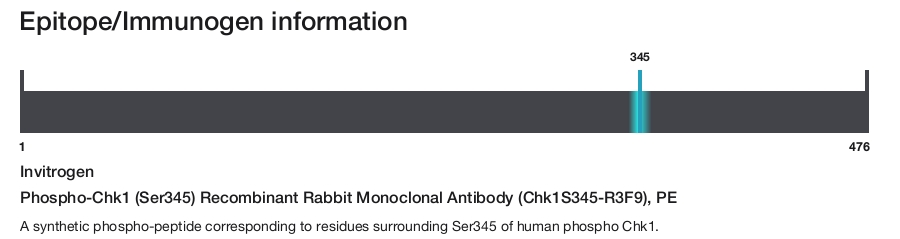 Phospho-Chk1 (Ser345) Recombinant Rabbit Monoclonal Antibody (Chk1S345-R3F9), PE