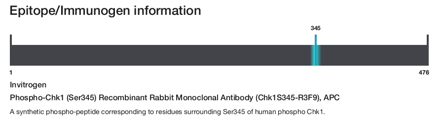 Phospho-Chk1 (Ser345) Recombinant Rabbit Monoclonal Antibody (Chk1S345-R3F9), APC