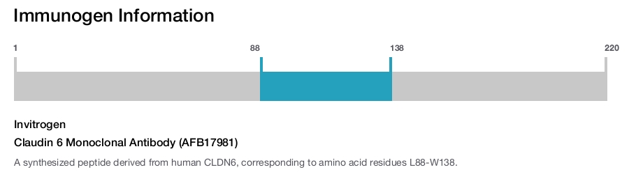 Claudin 6 Monoclonal Antibody (AFB17981)
