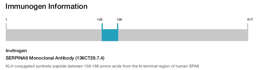 SERPINA9 Monoclonal Antibody (136CT29.7.4)