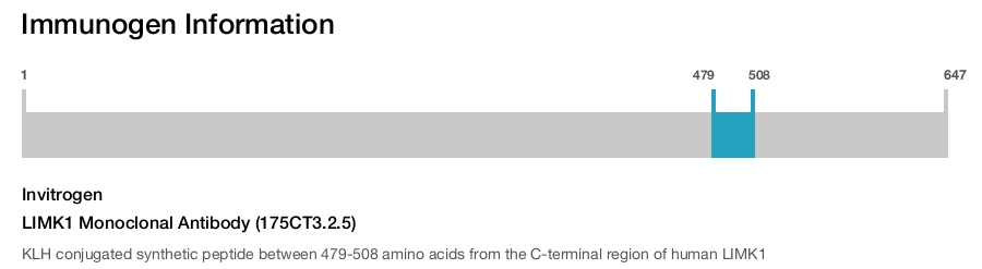 LIMK1 Monoclonal Antibody (175CT3.2.5)