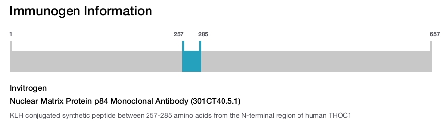 Nuclear Matrix Protein p84 Monoclonal Antibody (301CT40.5.1)