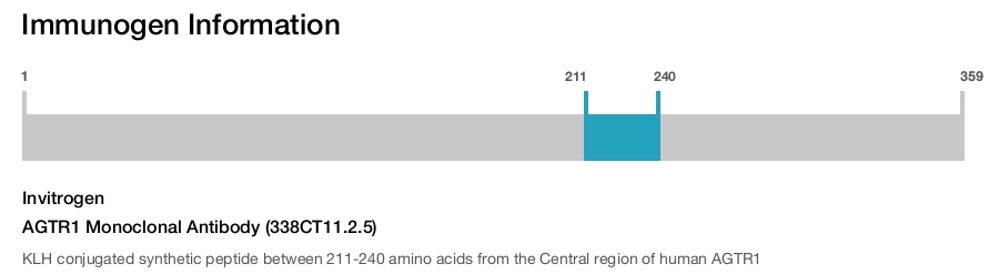 AGTR1 Monoclonal Antibody (338CT11.2.5)