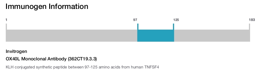 OX40L Monoclonal Antibody (362CT19.3.3)