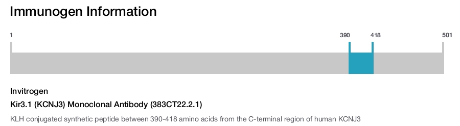 Kir3.1 (KCNJ3) Monoclonal Antibody (383CT22.2.1)