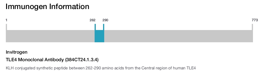 TLE4 Monoclonal Antibody (384CT24.1.3.4)