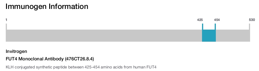 FUT4 Monoclonal Antibody (476CT26.8.4)