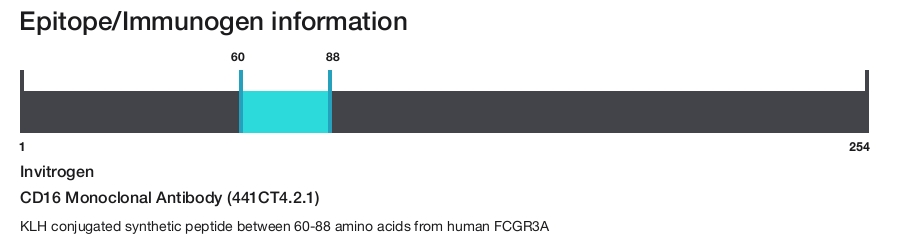 CD16 Monoclonal Antibody (441CT4.2.1)