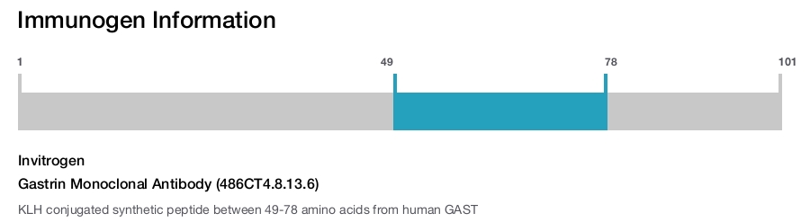 Gastrin Monoclonal Antibody (486CT4.8.13.6)