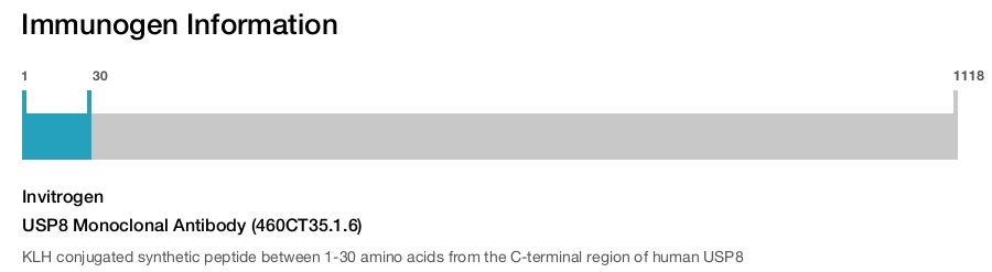 USP8 Monoclonal Antibody (460CT35.1.6)