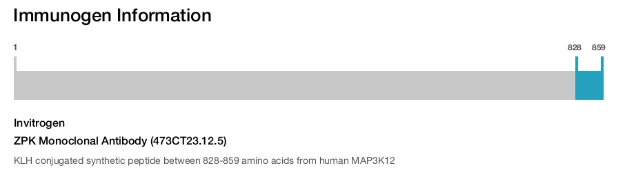 ZPK Monoclonal Antibody (473CT23.12.5)