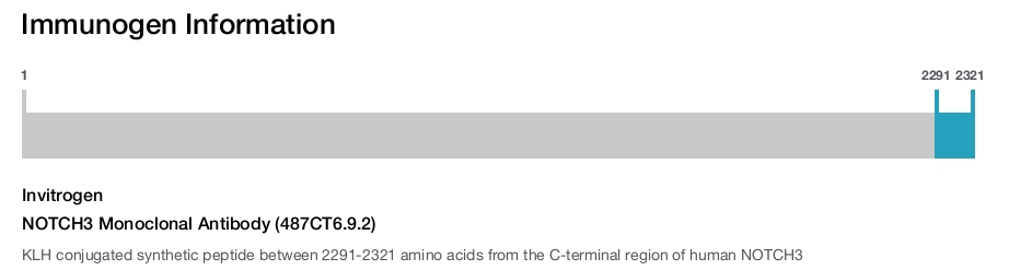NOTCH3 Monoclonal Antibody (487CT6.9.2)