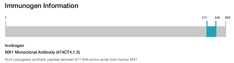 MX1 Monoclonal Antibody (474CT4.1.5)