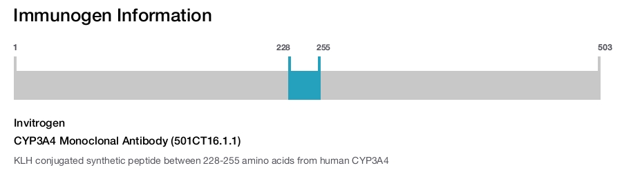 CYP3A4 Monoclonal Antibody (501CT16.1.1)