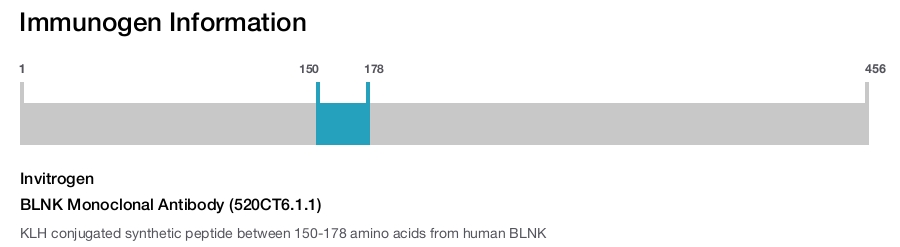 BLNK Monoclonal Antibody (520CT6.1.1)