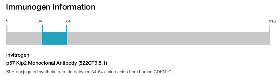 p57 Kip2 Monoclonal Antibody (522CT9.5.1)