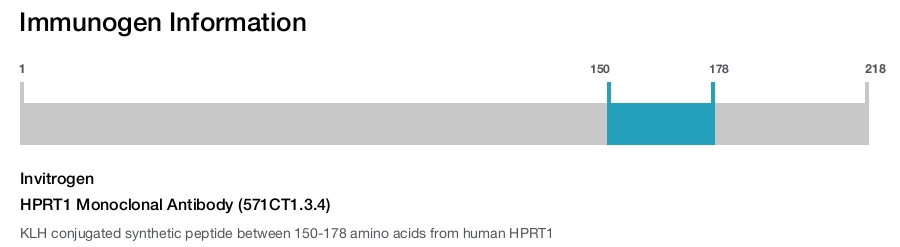 HPRT1 Monoclonal Antibody (571CT1.3.4)