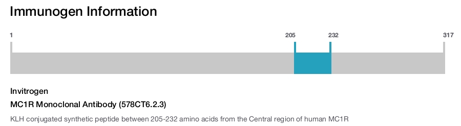 MC1R Monoclonal Antibody (578CT6.2.3)