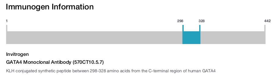 GATA4 Monoclonal Antibody (570CT10.5.7)