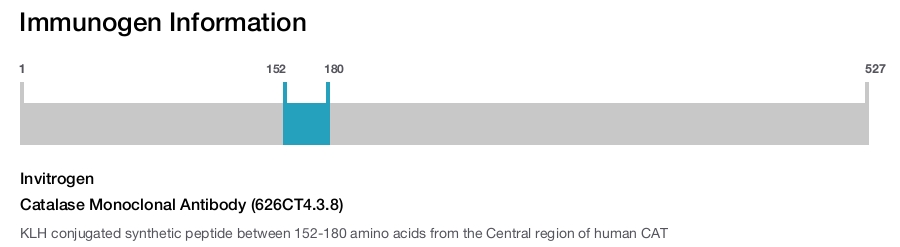 Catalase Monoclonal Antibody (626CT4.3.8)